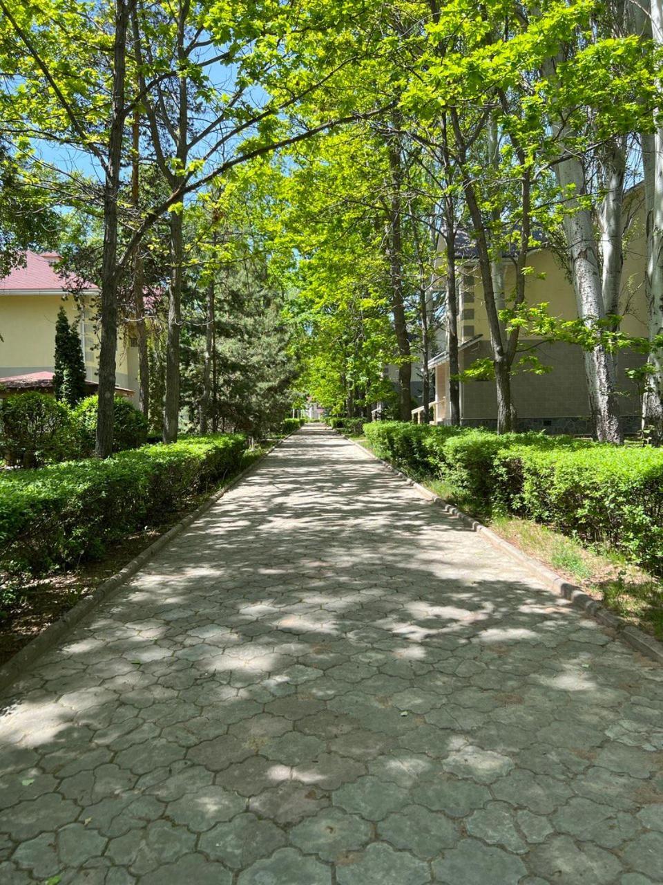 Luxury-Family-Cottage Bosteri Dış mekan fotoğraf
